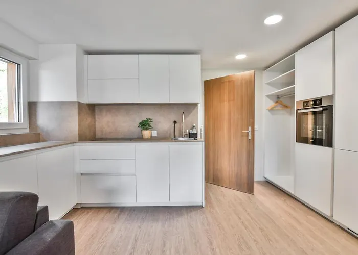 公寓 Rhodania 52 利德阿尔卑斯